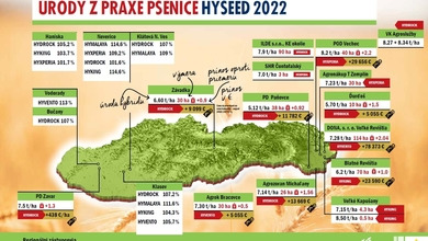 Úrody z praxe pšenice HYSEED 2022